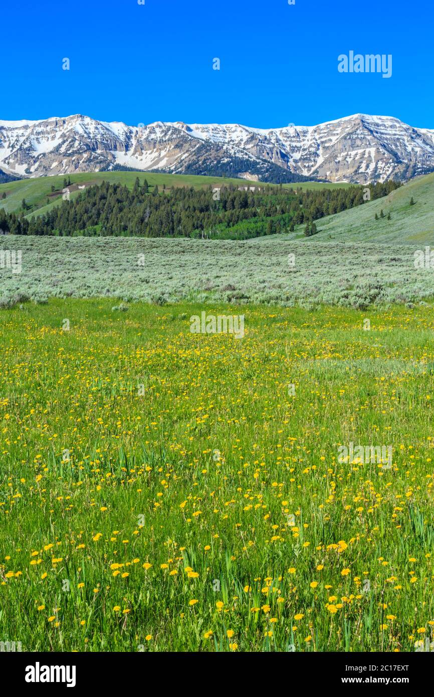centennial montagne sopra le colline e valle di sagebrush nel bacino superiore del fiume di roccia rossa vicino lakeview, montana Foto Stock