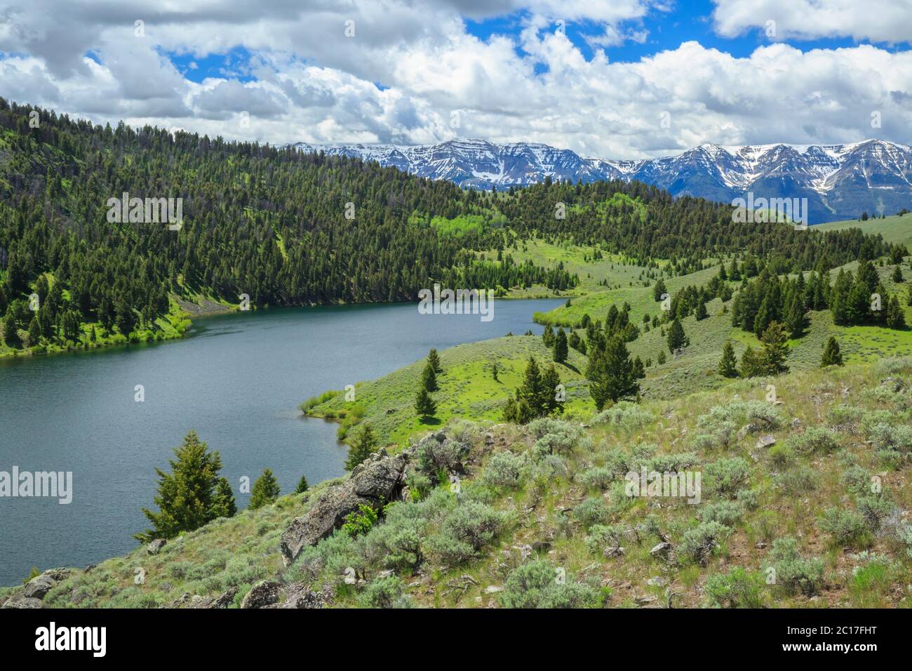 lago elk sotto le montagne centenarie nella parte superiore del bacino del fiume red rock vicino al lago, montana Foto Stock