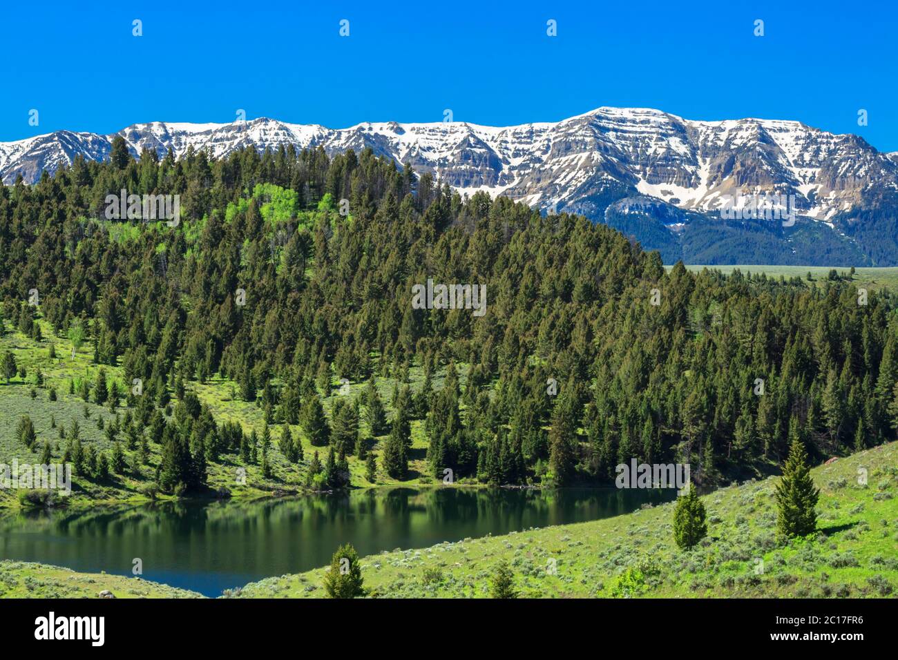 lago elk sotto le montagne centenarie nella parte superiore del bacino del fiume red rock vicino al lago, montana Foto Stock