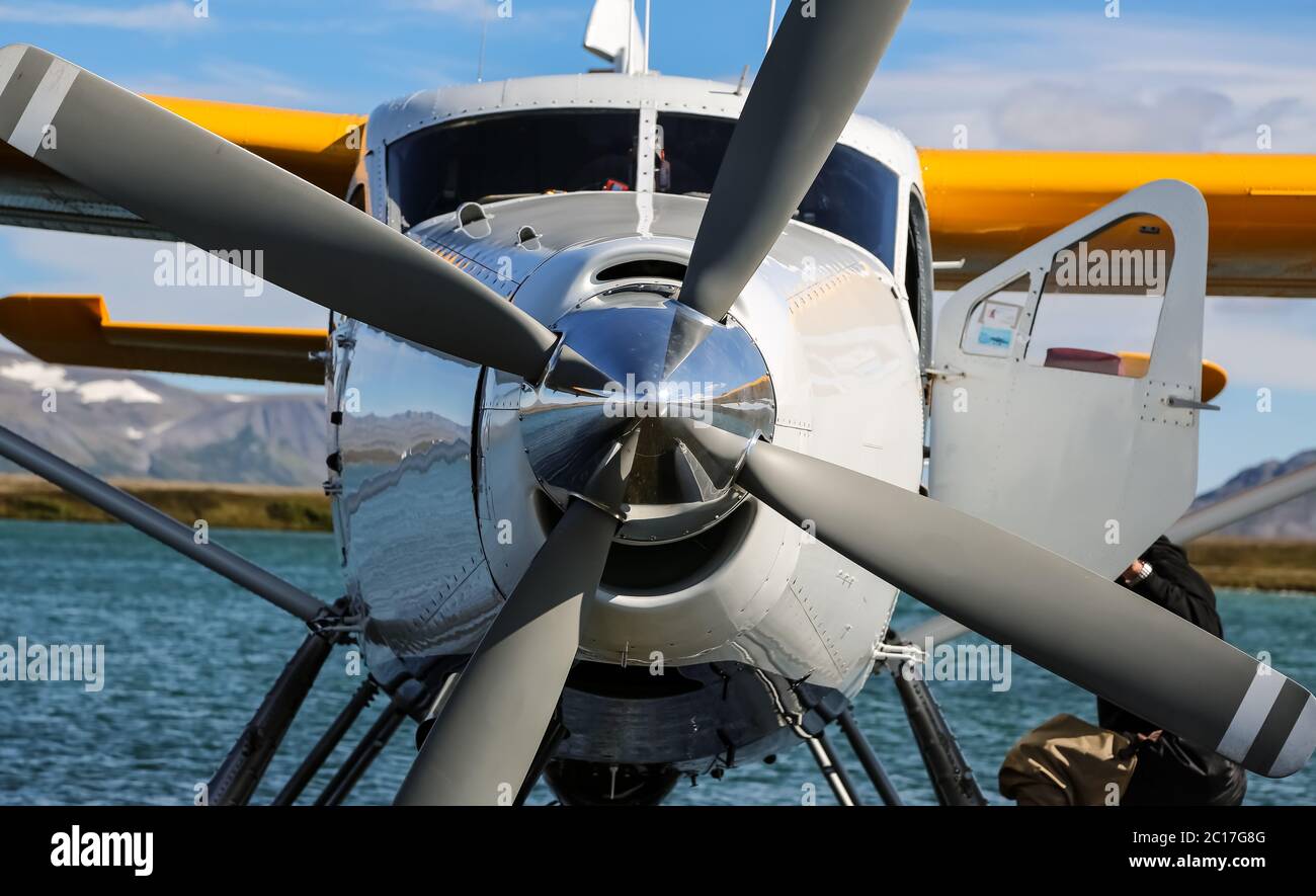 Primo piano di un aereo marino che galleggia su un lago nel Parco Nazionale di Katmai, Alaska Foto Stock