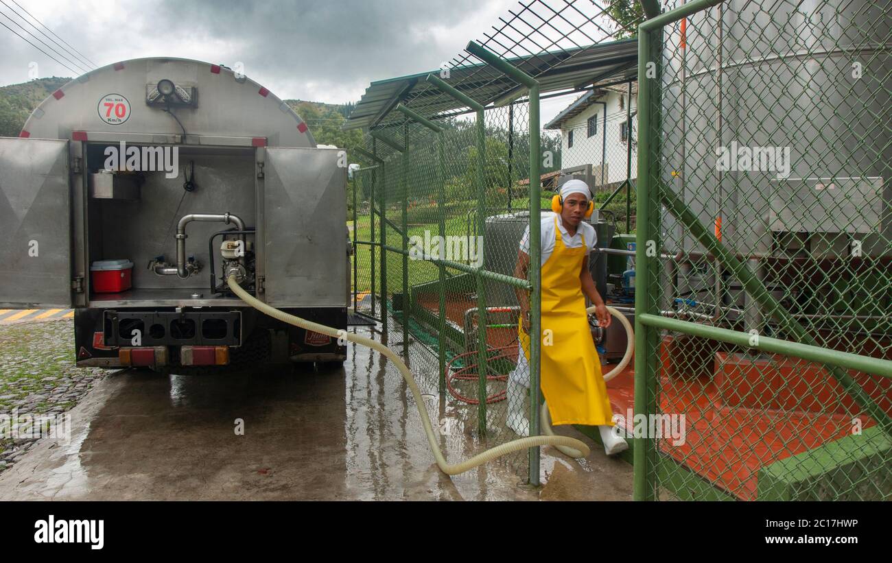 Zuleta, Imbabura / Ecuador - 9 novembre 2018: Lavoratore che carica latte crudo in un serbatoio fuori da una fabbrica di formaggio. Processo di produzione del formaggio Foto Stock