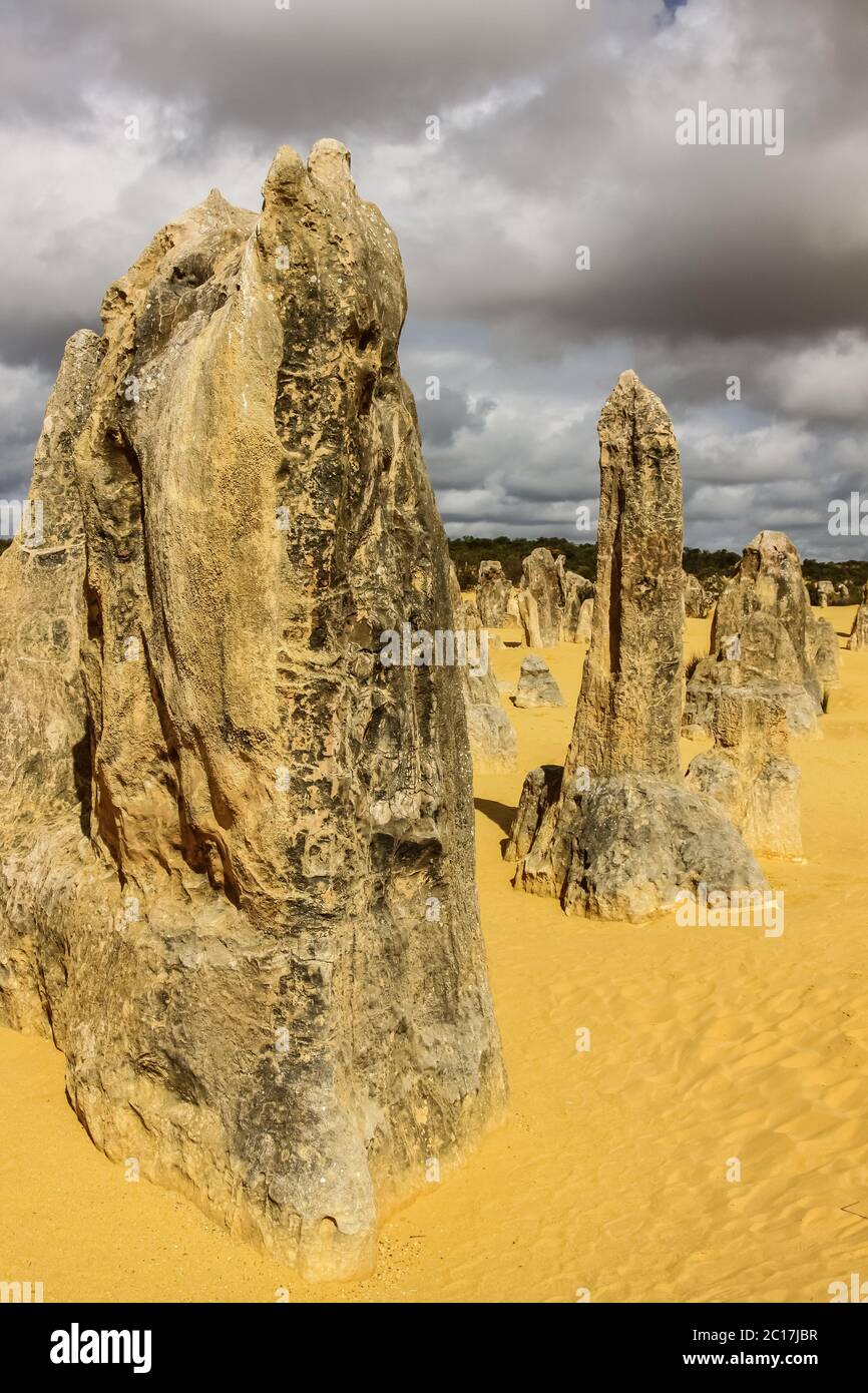 Bizzarre formazioni rocciose i Pinnacoli in luce tardo pomeriggio, Nambung National Park, Australia Occidentale Foto Stock