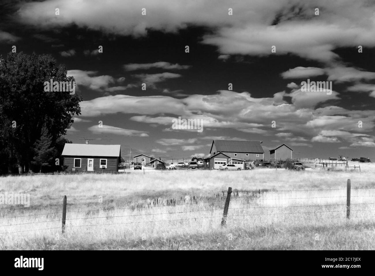 Fattoria vicino Ronan, Missoula Regione, Montana, Stati Uniti Foto Stock