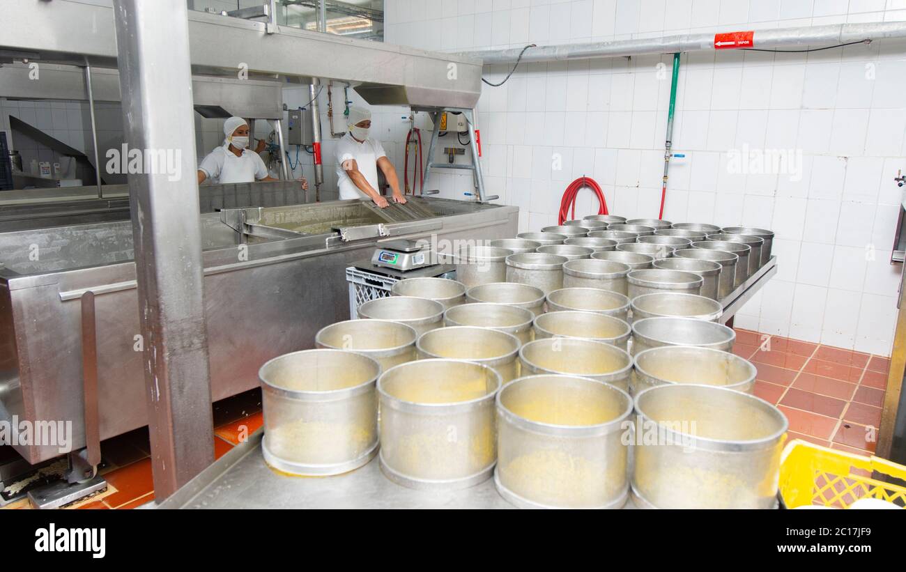 Zuleta, Imbabura / Ecuador - 9 novembre 2018: Vista del formaggio in muffa prima di essere compattata. Processo di produzione del formaggio Foto Stock
