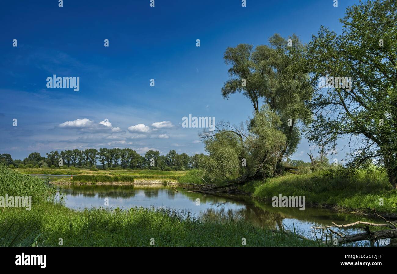 L'Oder nella Terra di Brandeburgo Foto Stock
