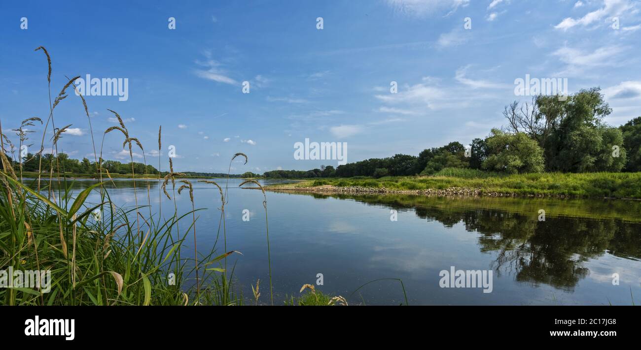 Il fiume Oder nella Terra di Brandeburgo Foto Stock