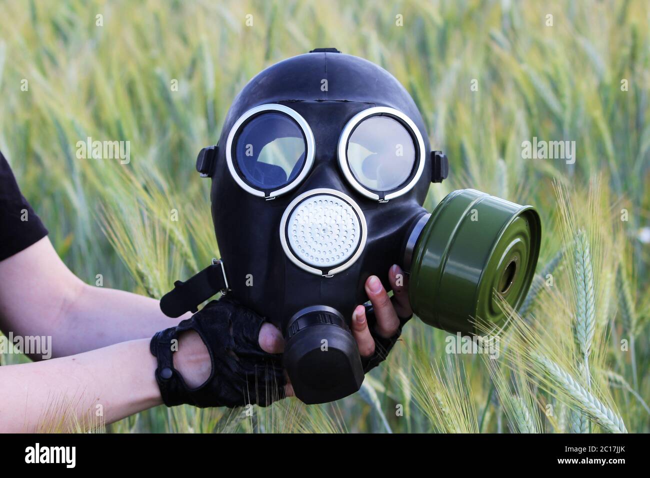 Maschera a gas di fronte al campo di grano. Il concetto di catastrofe ambientale Foto Stock