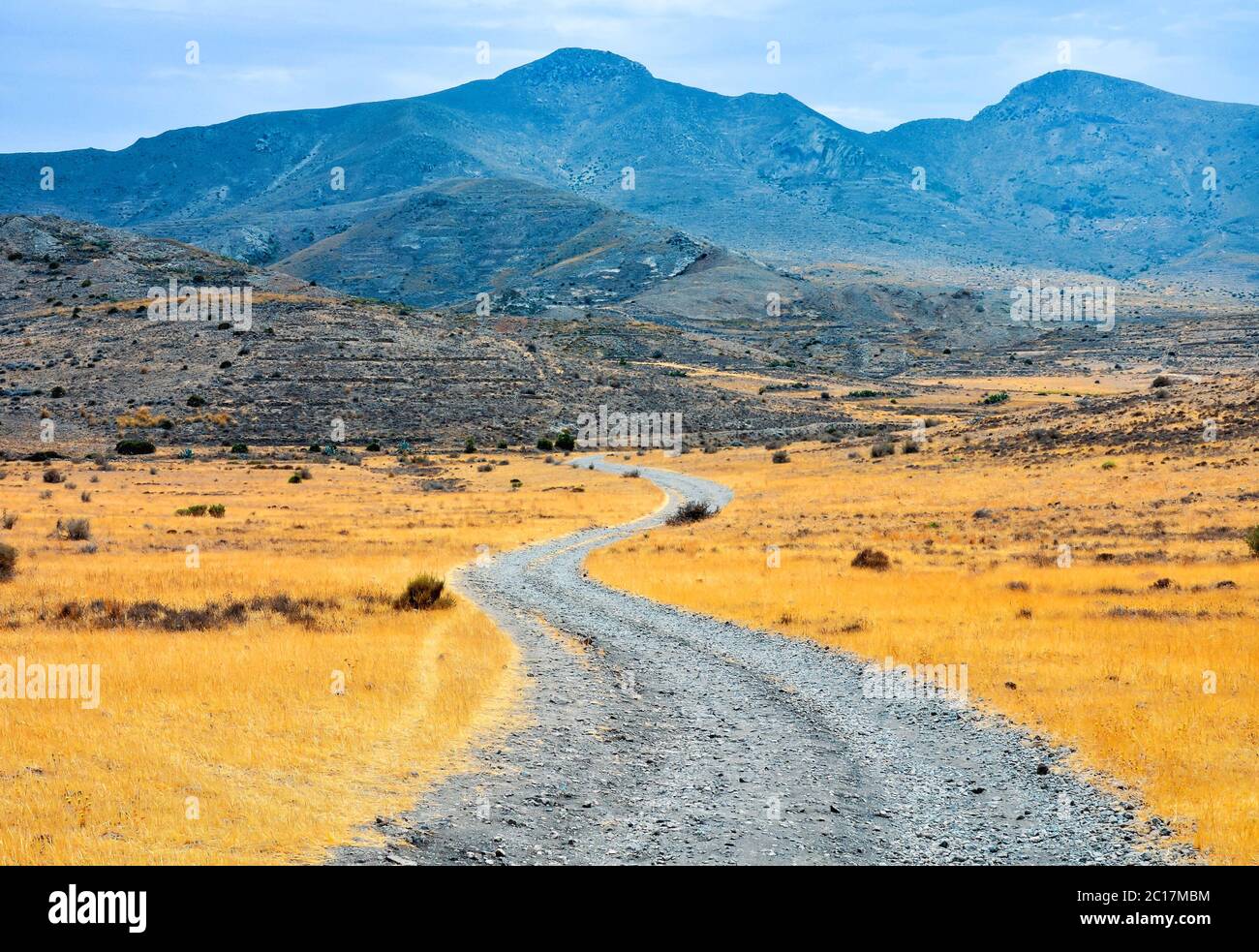 Paesaggio deserto percorso sporco Foto Stock