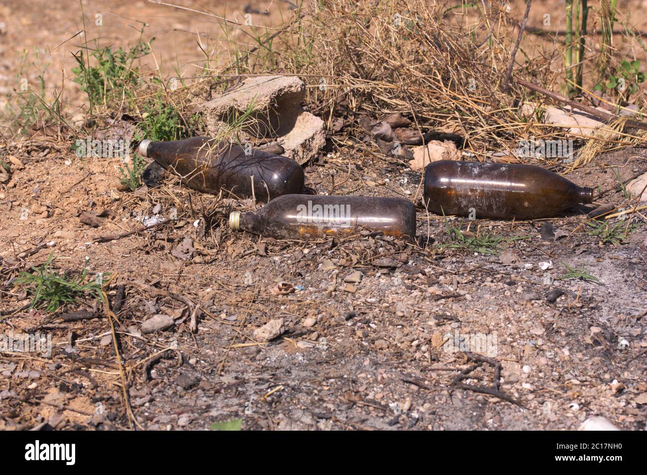 Qualcuno ha abbandonato le bottiglie di birra, che sono vetro marrone scuro come rifiuti in una zona rurale che litterano natura Foto Stock