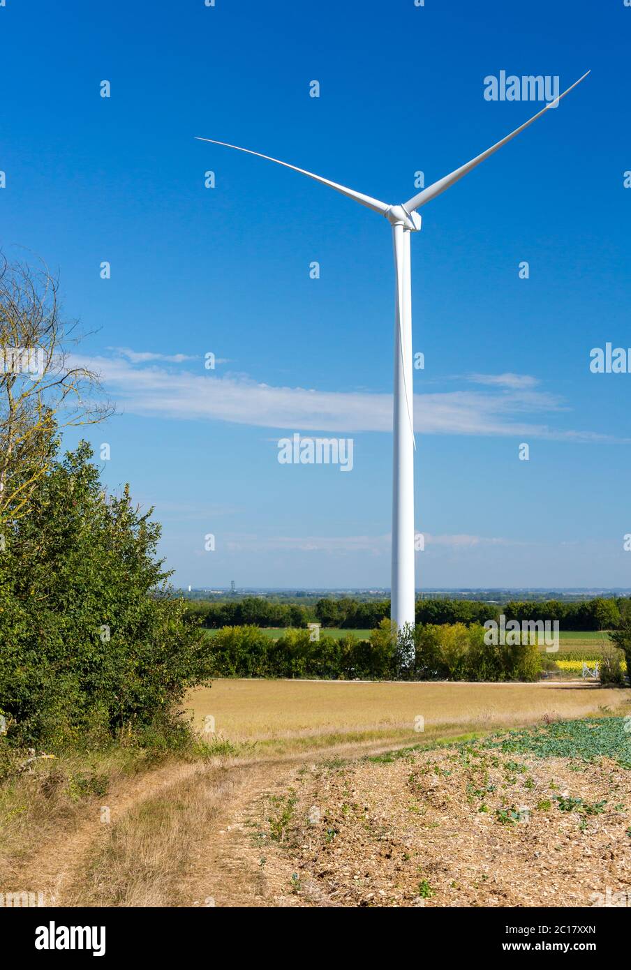 Turbine eoliche che generano elettricità con cielo blu - energia concetto di conservazione Foto Stock