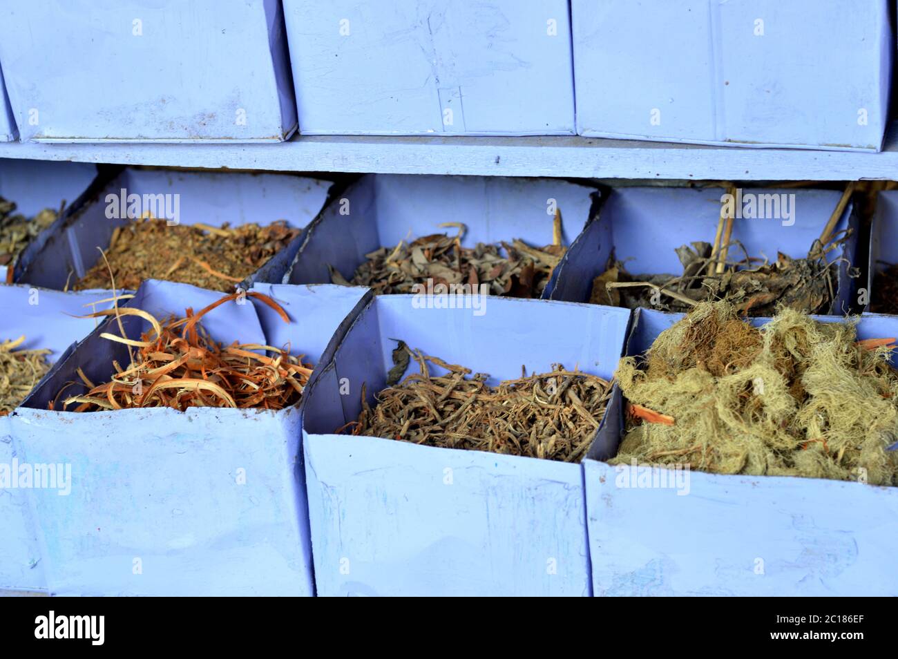 Asciugare le piante medicinali Foto Stock