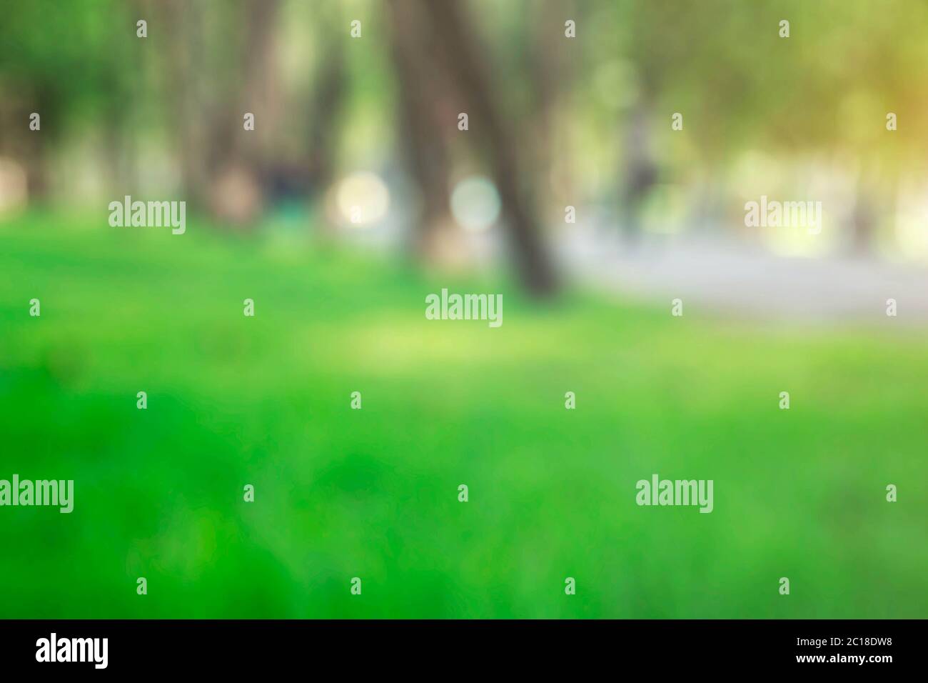 Per la cura di prati e alberi con le immagini sfocate. Foto Stock