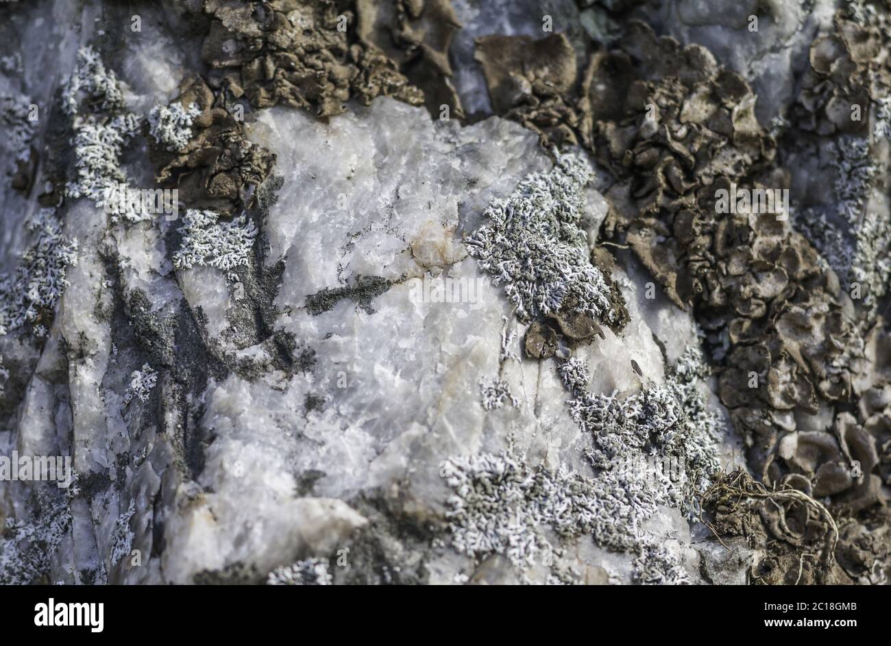 Pegamite di Pleystein , geotop cross-smountain Pleystein, Palatinato superiore, Baviera, Germania Foto Stock