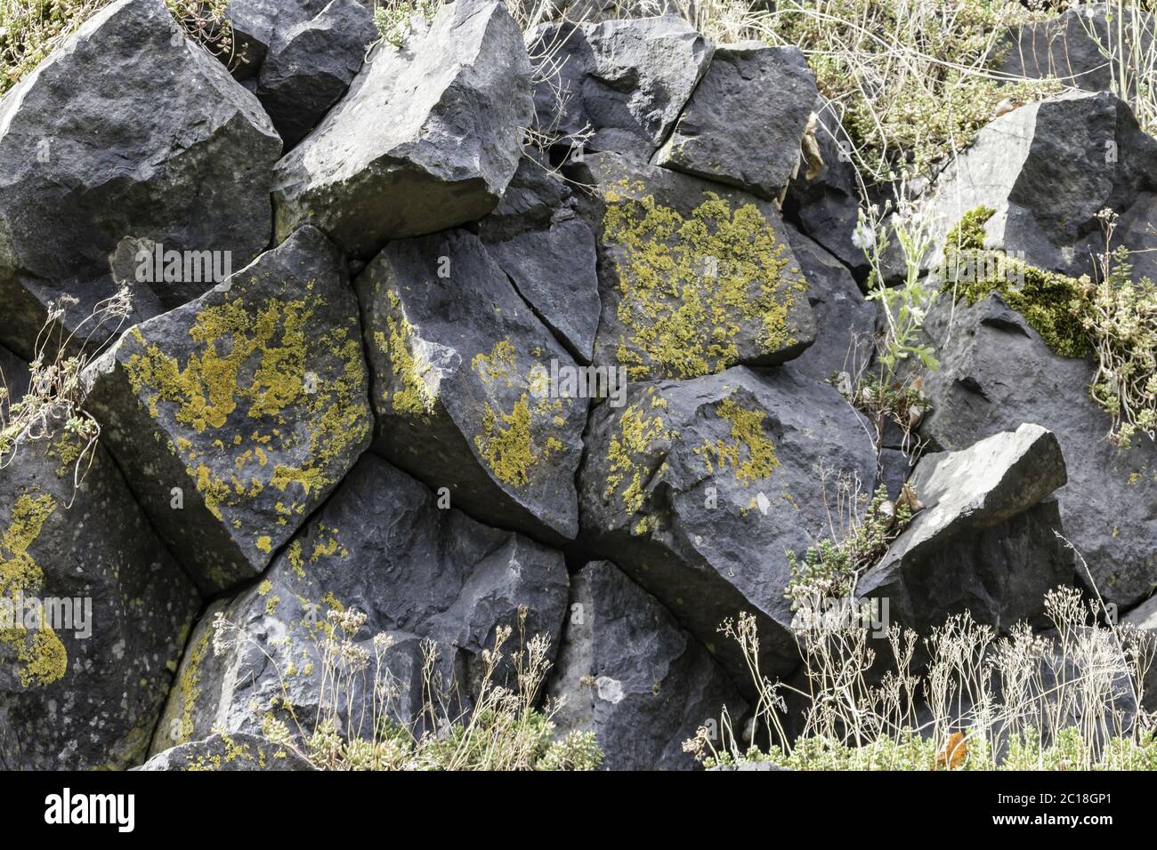Ingresso dettagliato le colonne di basalto sulla montagna Parkstone Foto Stock