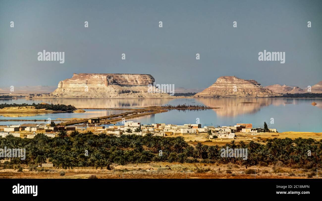 Lago Siwa e oasi, Egitto Foto Stock