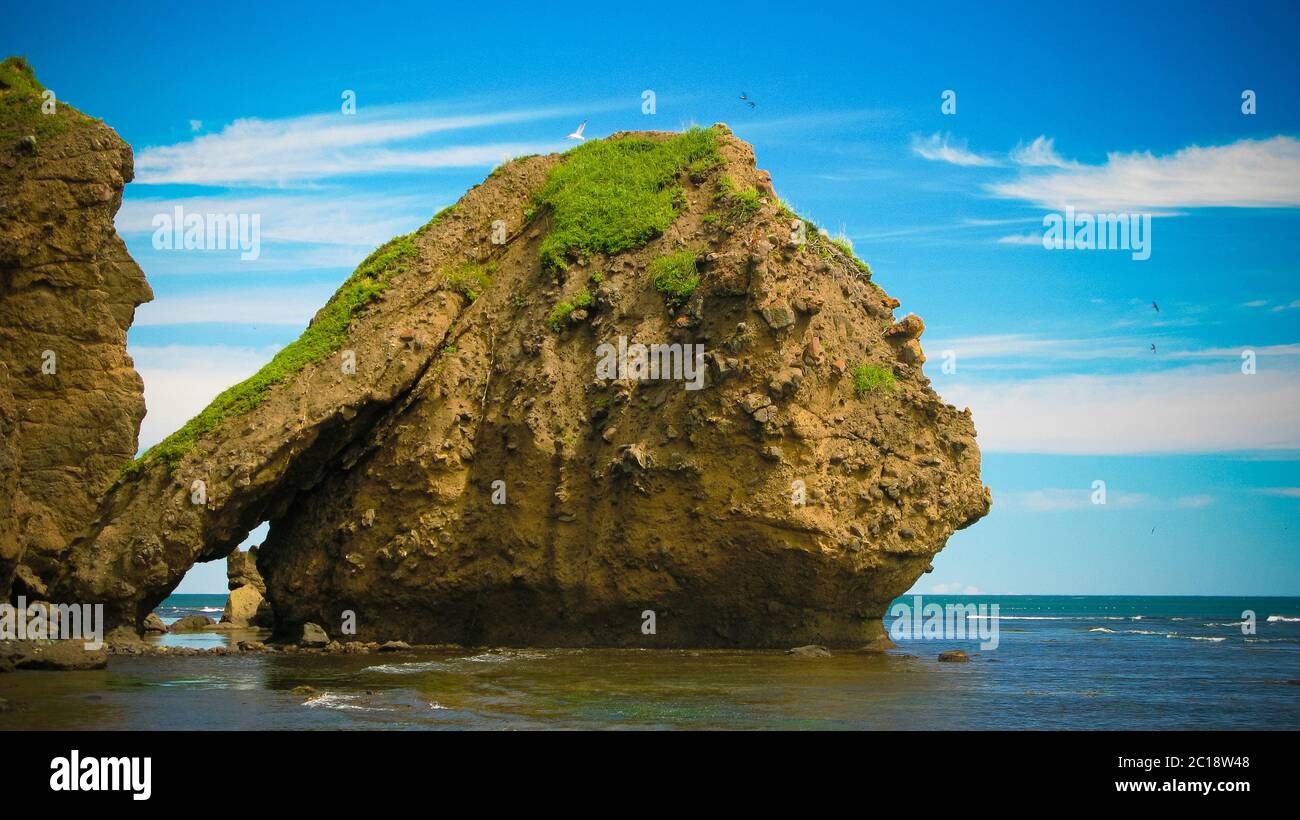 Struttura rocciosa aka pietra Elefante sulla costa della baia di Tikhaya bukhta sull'isola di Sakhalin, Russia Foto Stock