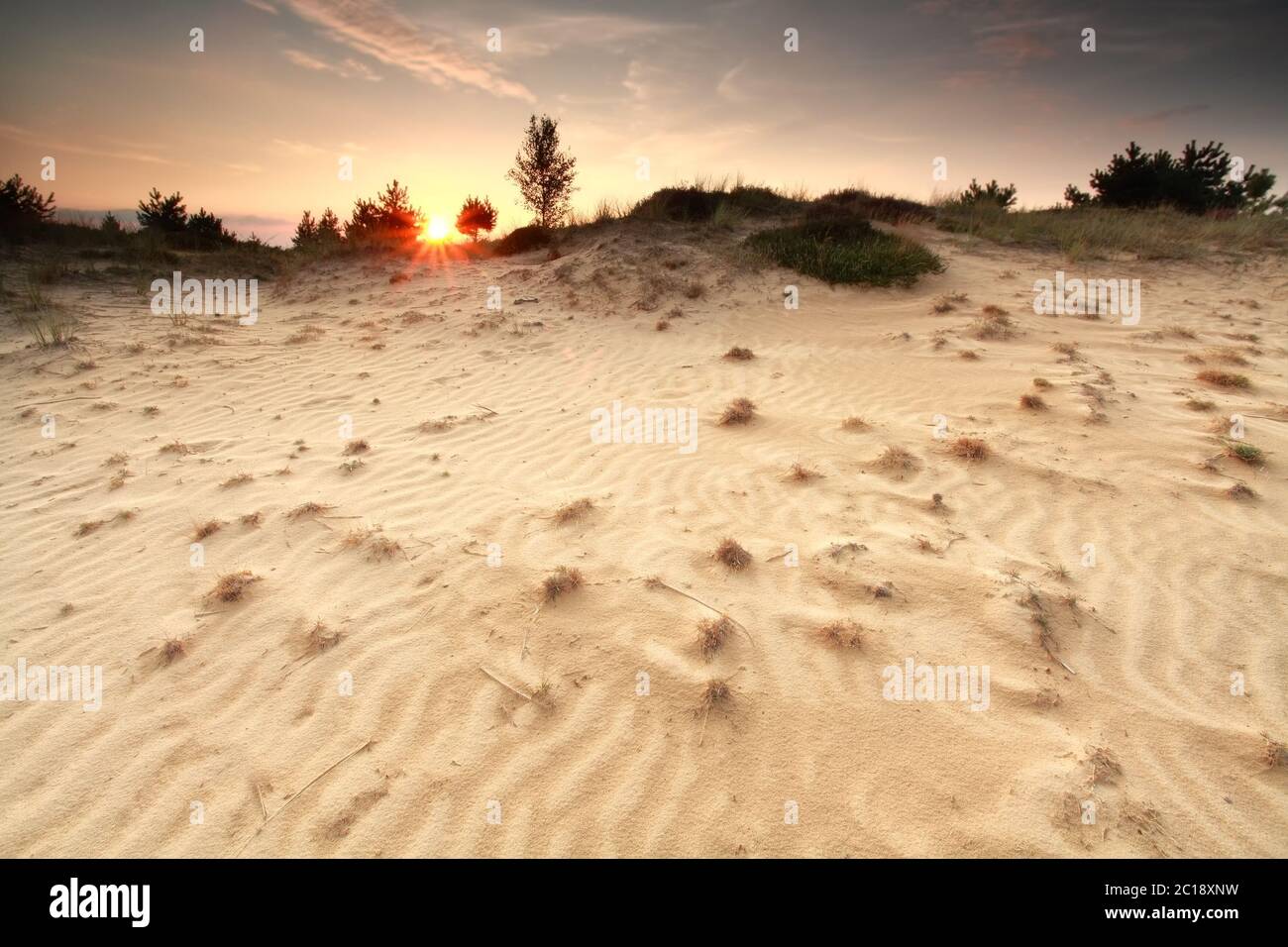texture su duna di sabbia al tramonto Foto Stock