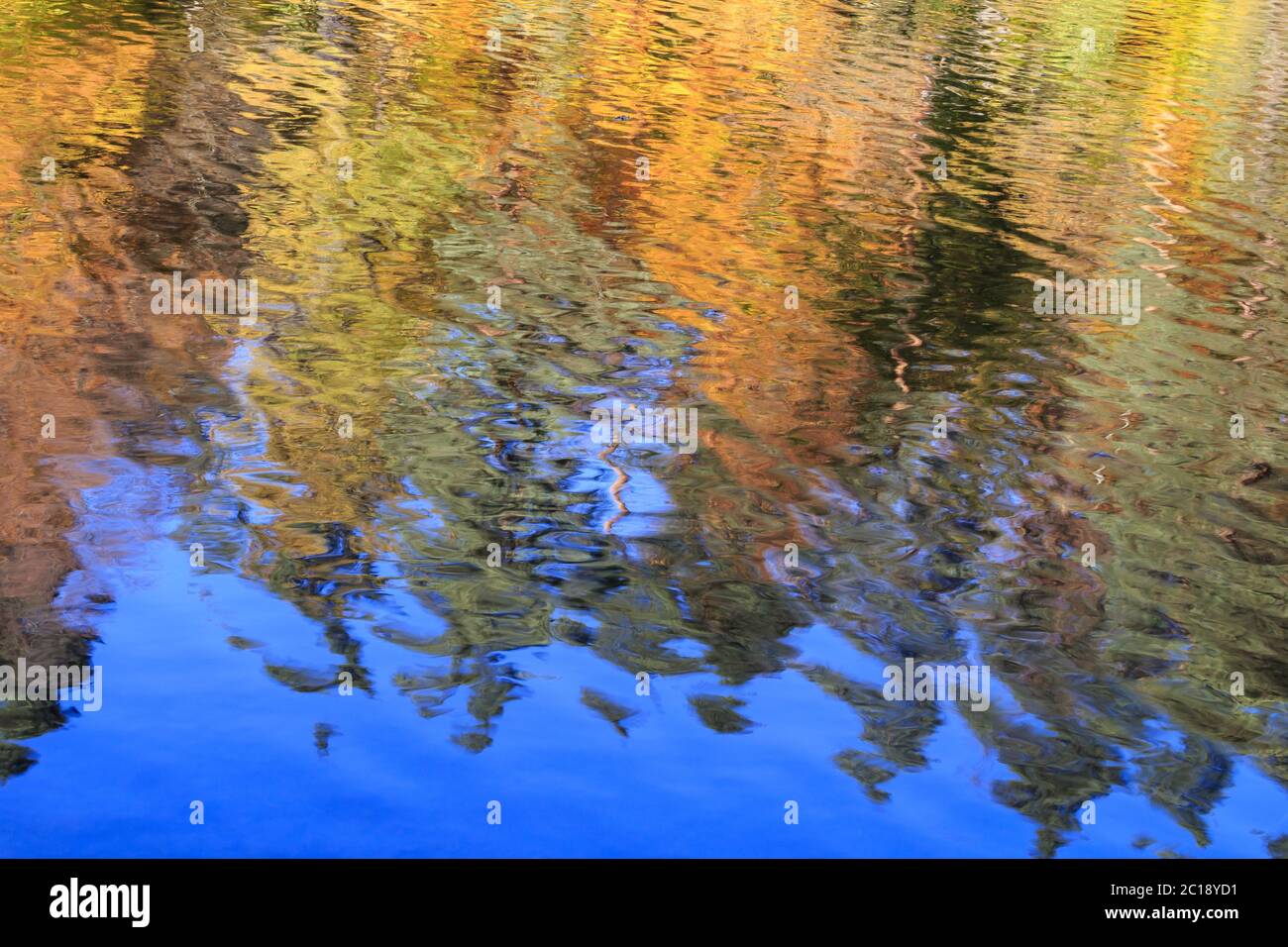 Acquerelli, acquerello della natura Foto Stock