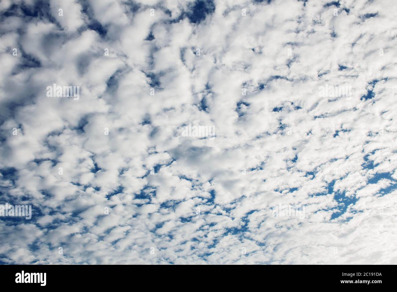 Nuvole con sfondo bello. Foto Stock