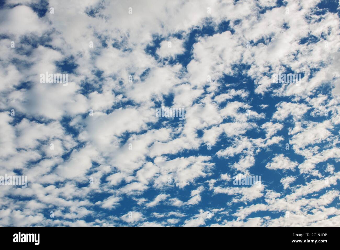 Le nuvole del cielo. Foto Stock