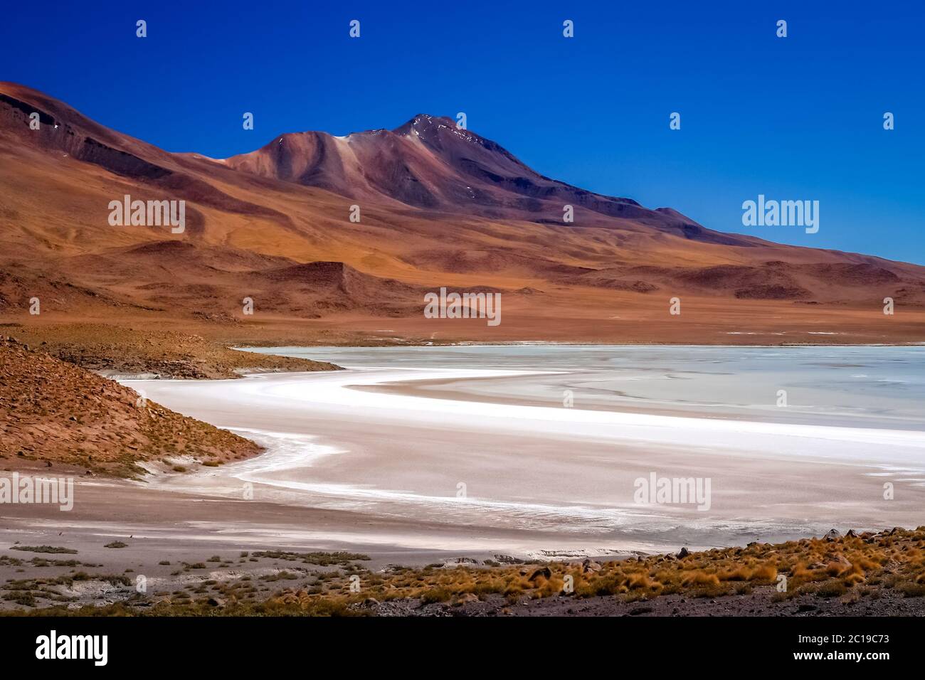 Uno dei molti saltwater lagoones nell'altipiano della Bolivia Foto Stock
