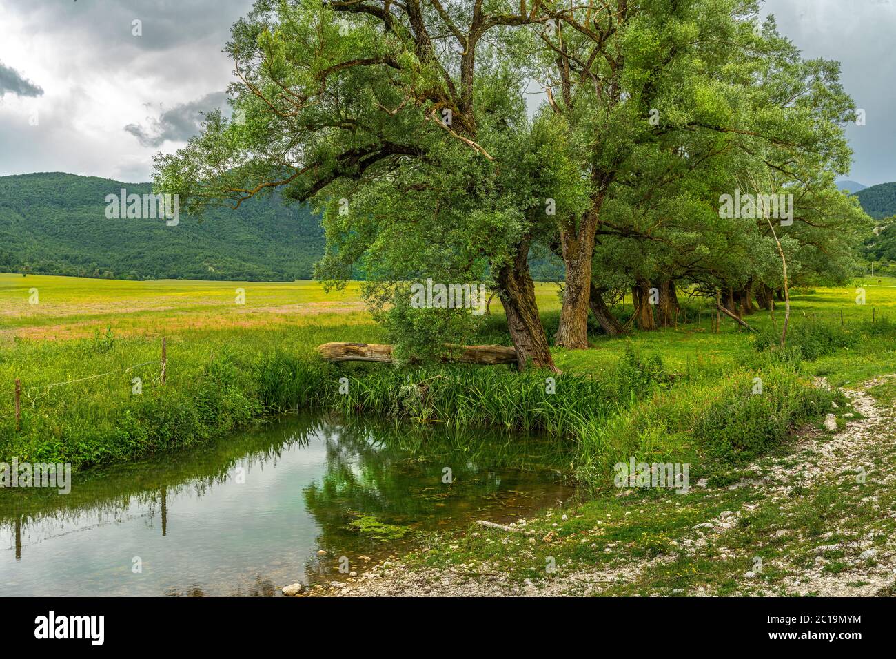 Il torrente Zittola attraversa i prati della torba di Montenero. Montenero Valcocchiara, Molise, Italia, Erurope Foto Stock