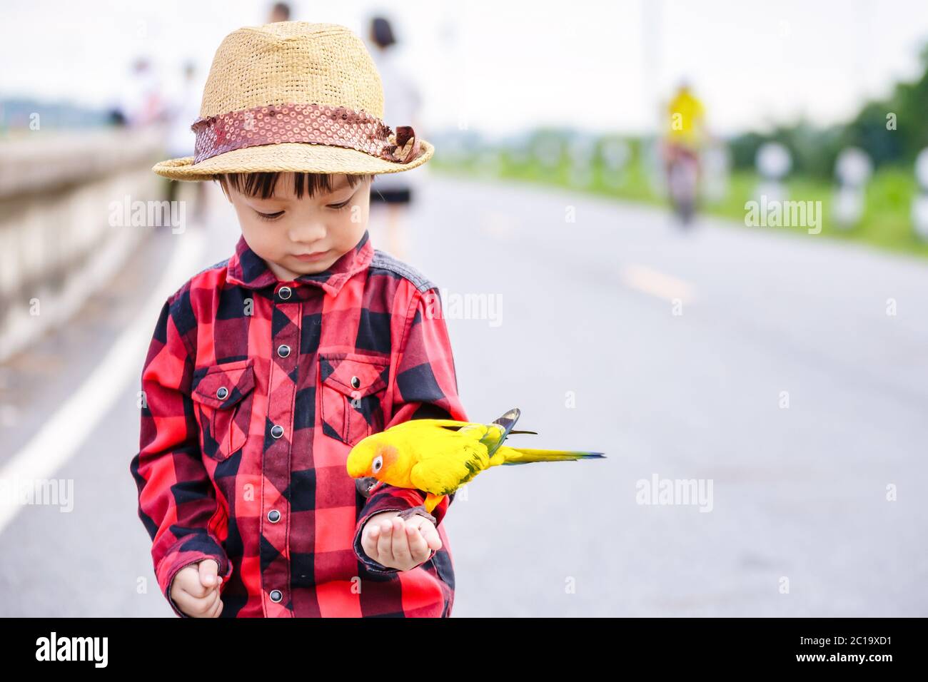 Un uccello sui bambini mano nel parco. Foto Stock