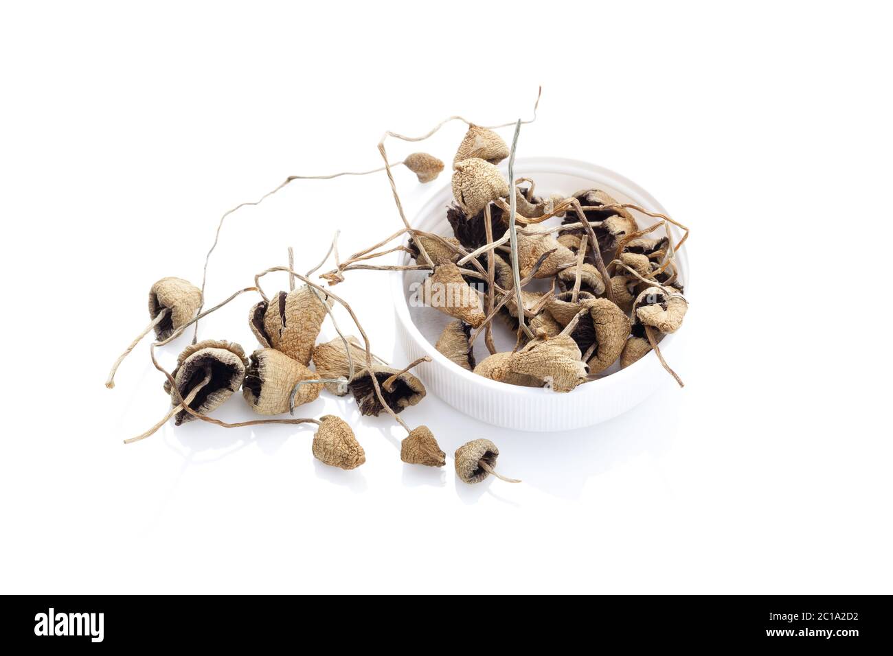 Asciugato il fungo psilocybin. Foto Stock