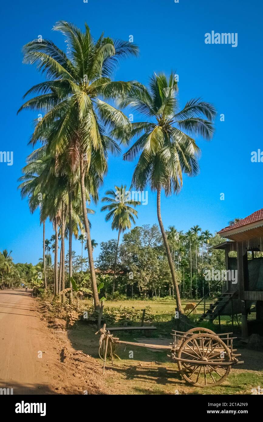 La strada attraverso cambogiano paesaggio rurale Foto Stock