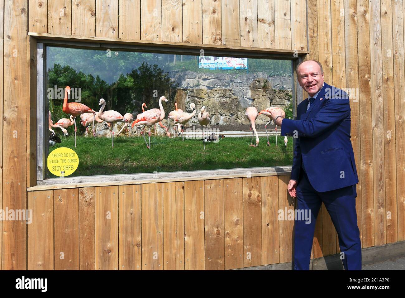 Dudley, West Midlands, Regno Unito. 15 giugno 2020. Marco Longhi, deputato conservatore di Dudley North, è uno dei primi visitatori con la sua famiglia, come Dudley zoo apre le sue porte per la prima volta dal blocco del Regno Unito, con un'entrata gestita e arangement di sicurezza completa. Credit: Peter Lopeman/Alamy Live News Foto Stock