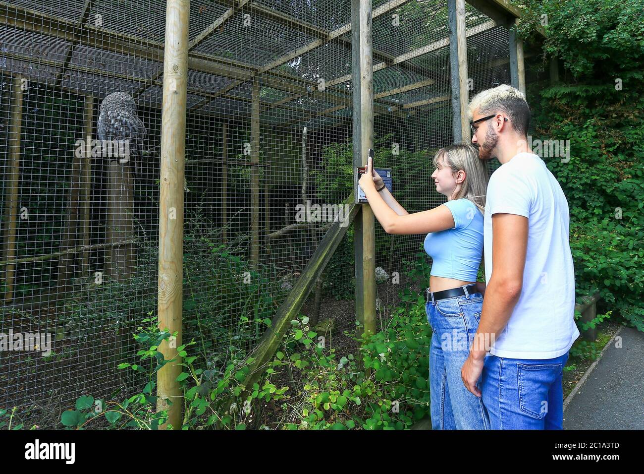 Dudley, West Midlands, Regno Unito. 15 giugno 2020. Monica Longhi, 19 anni, figlia del deputato Marco Longhi, con il suo ragazzo Sam, 21 anni, è tra i primi visitatori, dato che lo zoo di Dudley apre le sue porte per la prima volta dalla chiusura del Regno Unito, con un'entrata gestita e arangement di sicurezza completi. Credit: Peter Lopeman/Alamy Live News Foto Stock