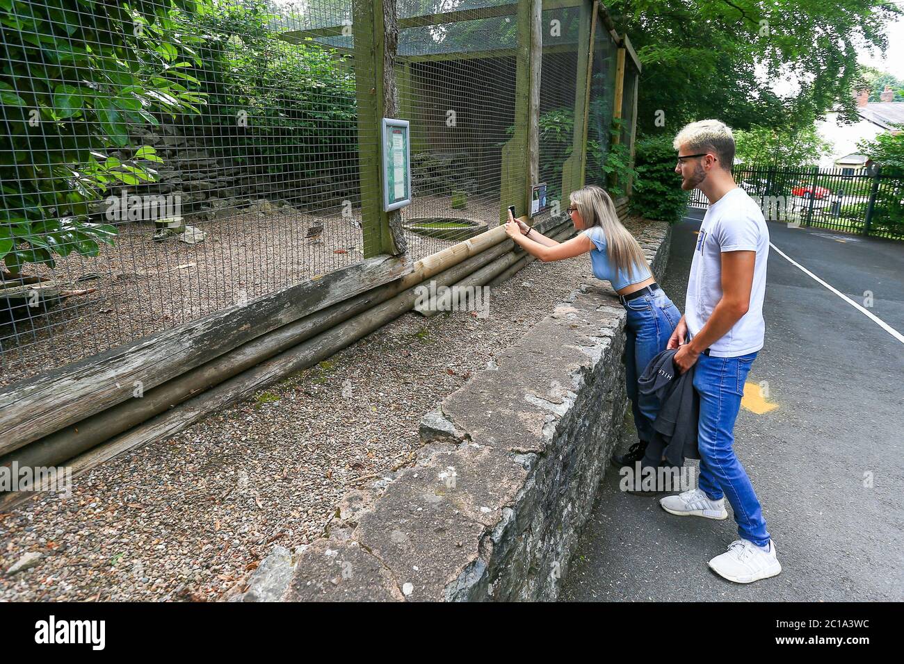 Dudley, West Midlands, Regno Unito. 15 giugno 2020. Monica Longhi, 19 anni, figlia del deputato Marco Longhi, con il suo ragazzo Sam, 21 anni, è tra i primi visitatori, dato che lo zoo di Dudley apre le sue porte per la prima volta dalla chiusura del Regno Unito, con un'entrata gestita e arangement di sicurezza completi. Credit: Peter Lopeman/Alamy Live News Foto Stock