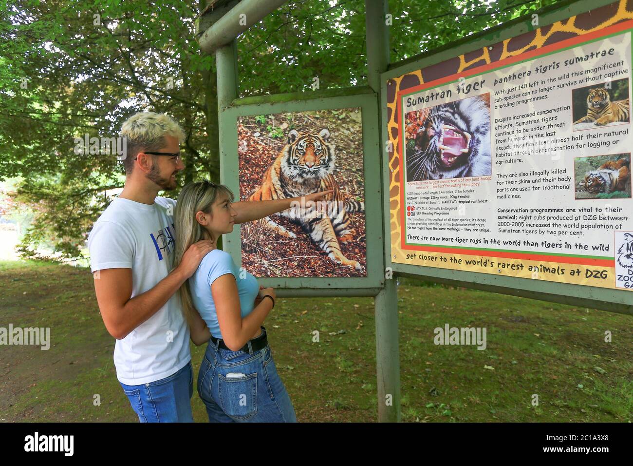 Dudley, West Midlands, Regno Unito. 15 giugno 2020. Monica Longhi, 19 anni, figlia del deputato Marco Longhi, con il suo ragazzo Sam, 21 anni, è tra i primi visitatori, dato che lo zoo di Dudley apre le sue porte per la prima volta dalla chiusura del Regno Unito, con un'entrata gestita e arangement di sicurezza completi. Credit: Peter Lopeman/Alamy Live News Foto Stock