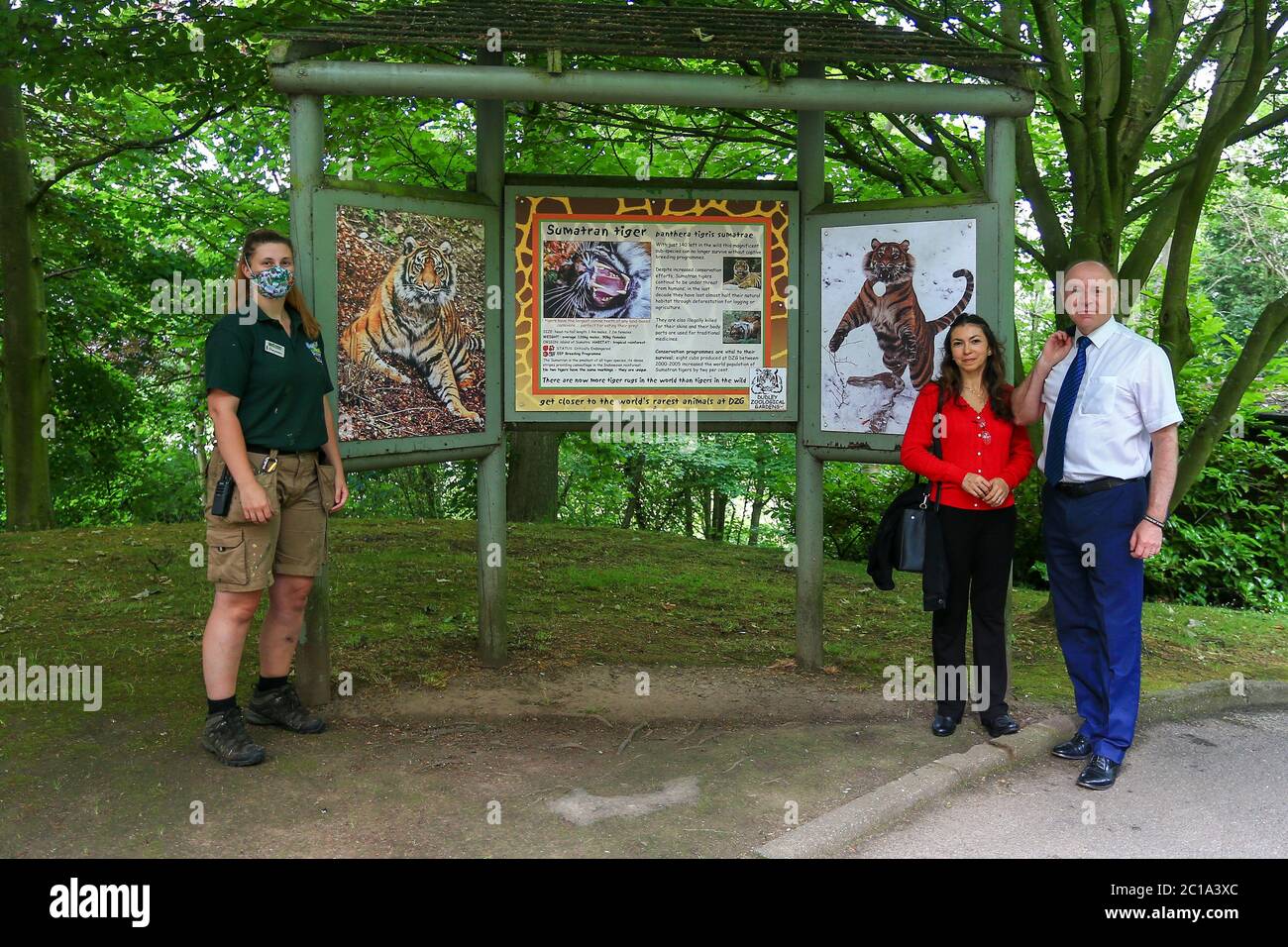 Dudley, West Midlands, Regno Unito. 15 giugno 2020. Marco Longhi, deputato conservatore di Dudley North, è uno dei primi visitatori con la sua famiglia, come Dudley zoo apre le sue porte per la prima volta dal blocco del Regno Unito, con un'entrata gestita e arangement di sicurezza completa. Credit: Peter Lopeman/Alamy Live News Foto Stock