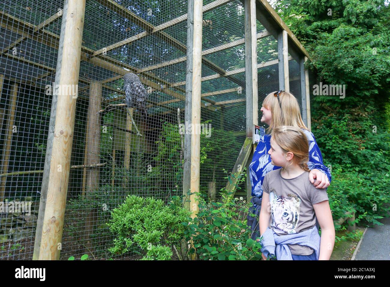 Dudley, West Midlands, Regno Unito. 15 giugno 2020. Ellie Slater, 8 anni, è con sua mamma Clare, come Dudley zoo apre le sue porte per la prima volta dal blocco del Regno Unito, con un'entrata gestita e arangement di sicurezza completa. Credit: Peter Lopeman/Alamy Live News Foto Stock