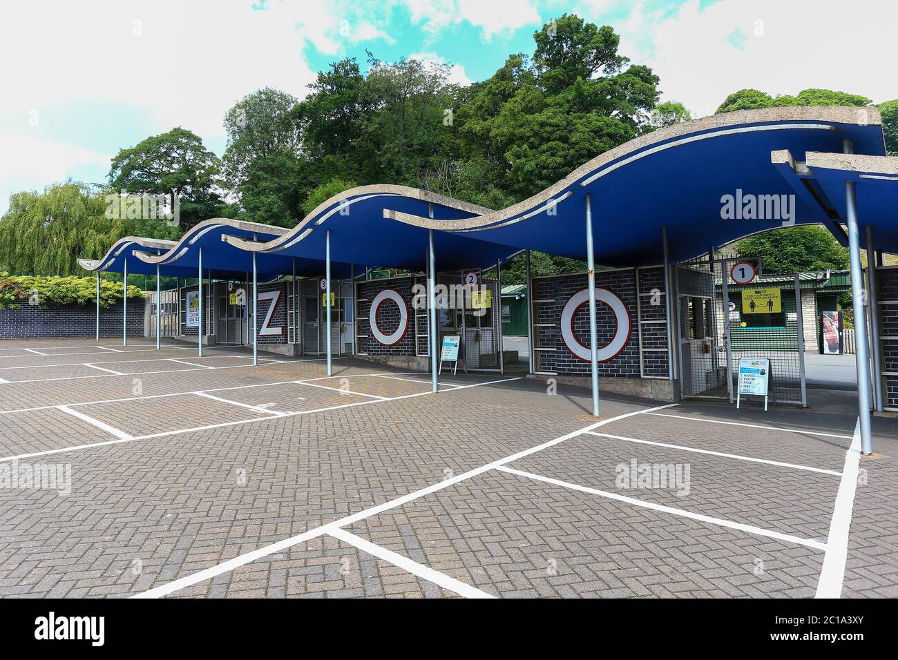 Dudley, West Midlands, Regno Unito. 15 giugno 2020. Lo zoo di Dudley apre le sue porte per la prima volta dopo la chiusura del Regno Unito, con un'entrata gestita e arangement di sicurezza completi. Credit: Peter Lopeman/Alamy Live News Foto Stock