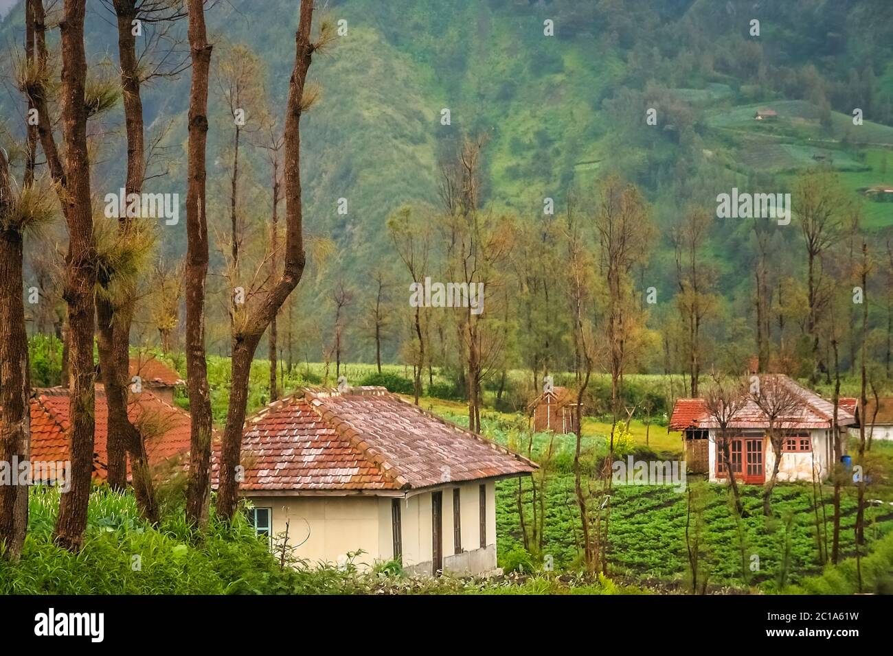 Cemoro Lawang village in Java Foto Stock