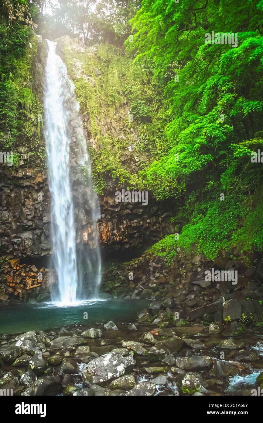 Una piccola cascata nella fitta giungla di Sumatra Foto Stock