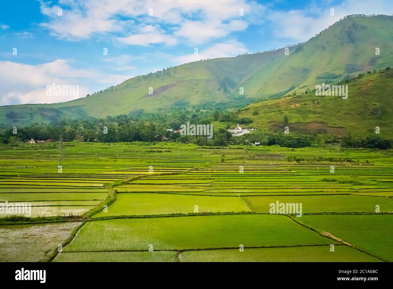 Ricefields terrazzati nei tropici di Sumatra, Indonesia Foto Stock