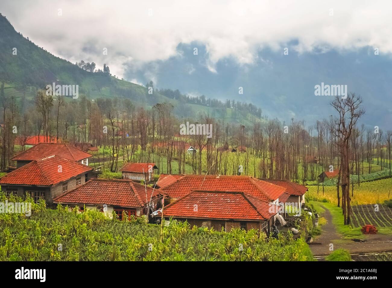 Cemoro Lawang village in Java Foto Stock