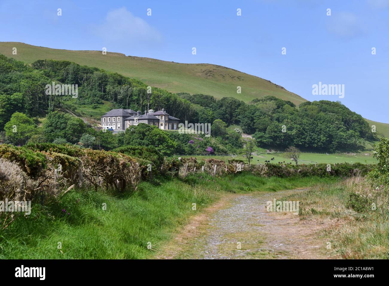 Tanybwlch Mansion Aberystwyth Ceredigion da Nanny Goats Walk Foto Stock