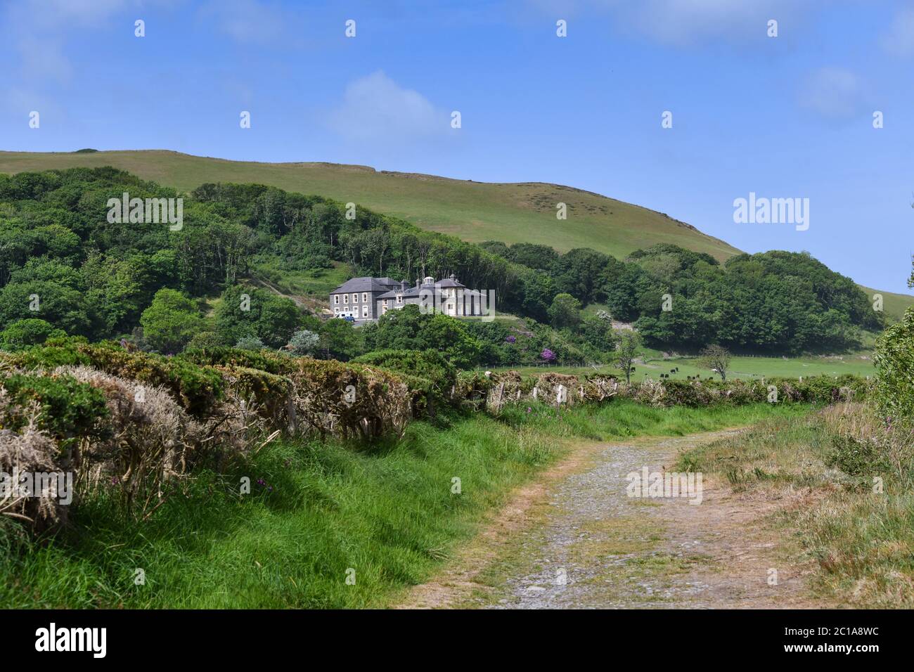 Tanybwlch Mansion Aberystwyth Ceredigion da Nanny Goats Walk Foto Stock