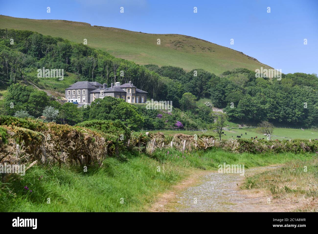 Tanybwlch Mansion Aberystwyth Ceredigion da Nanny Goats Walk Foto Stock