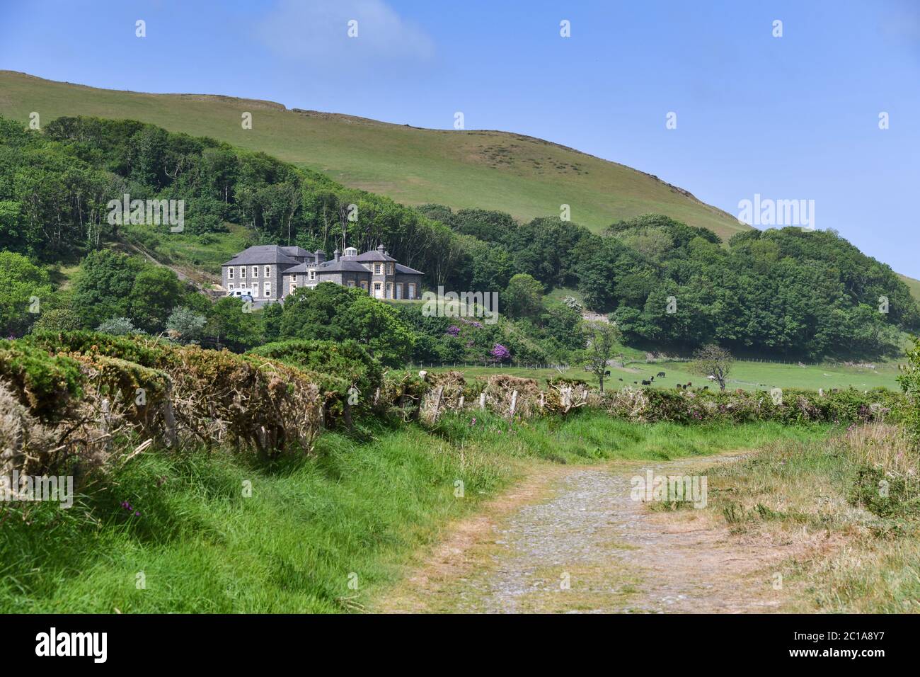 Tanybwlch Mansion Aberystwyth Ceredigion da Nanny Goats Walk Foto Stock