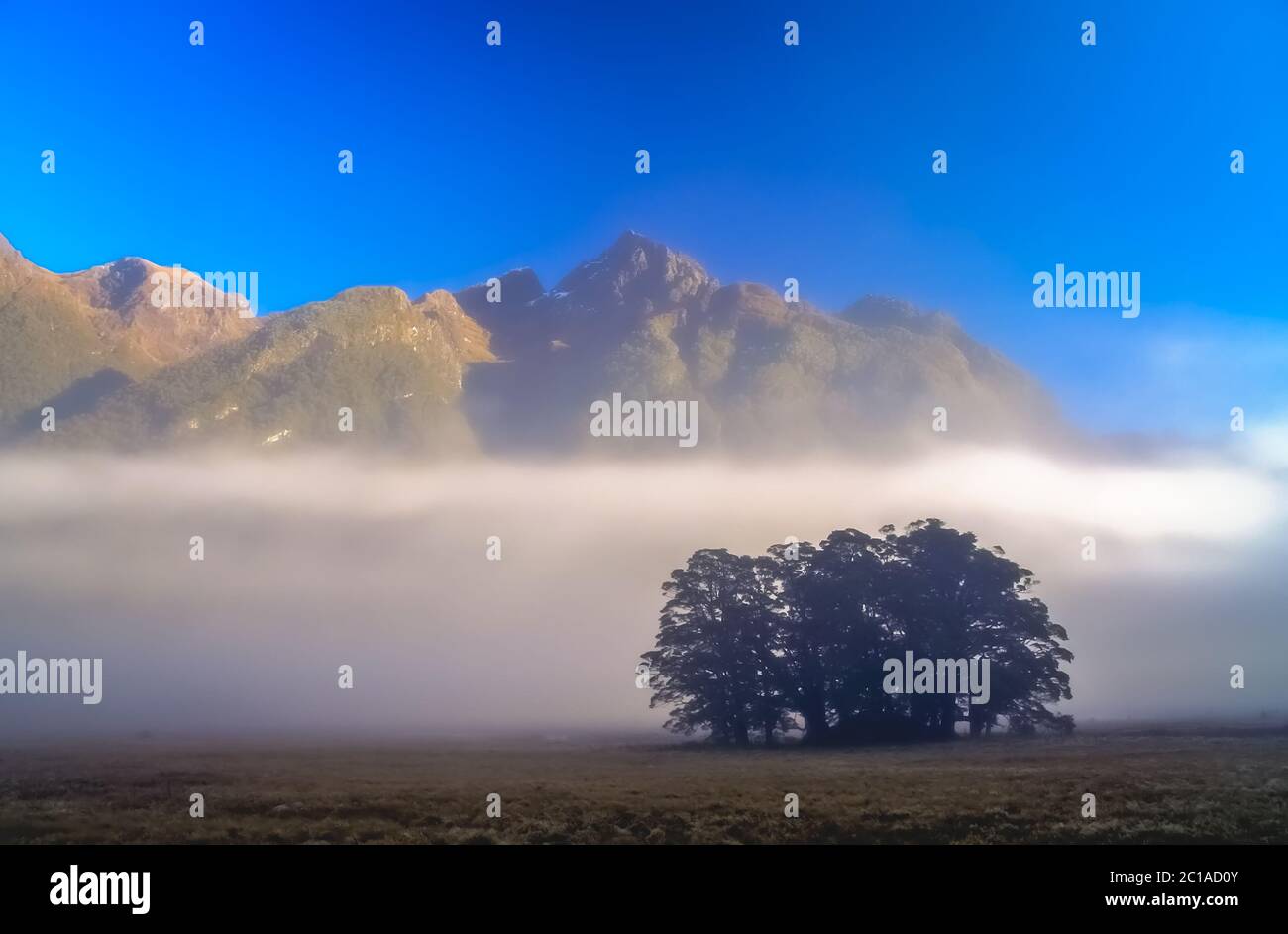 La nebbia e la nebbia in una valle in Nuova Zelanda Alpi Foto Stock