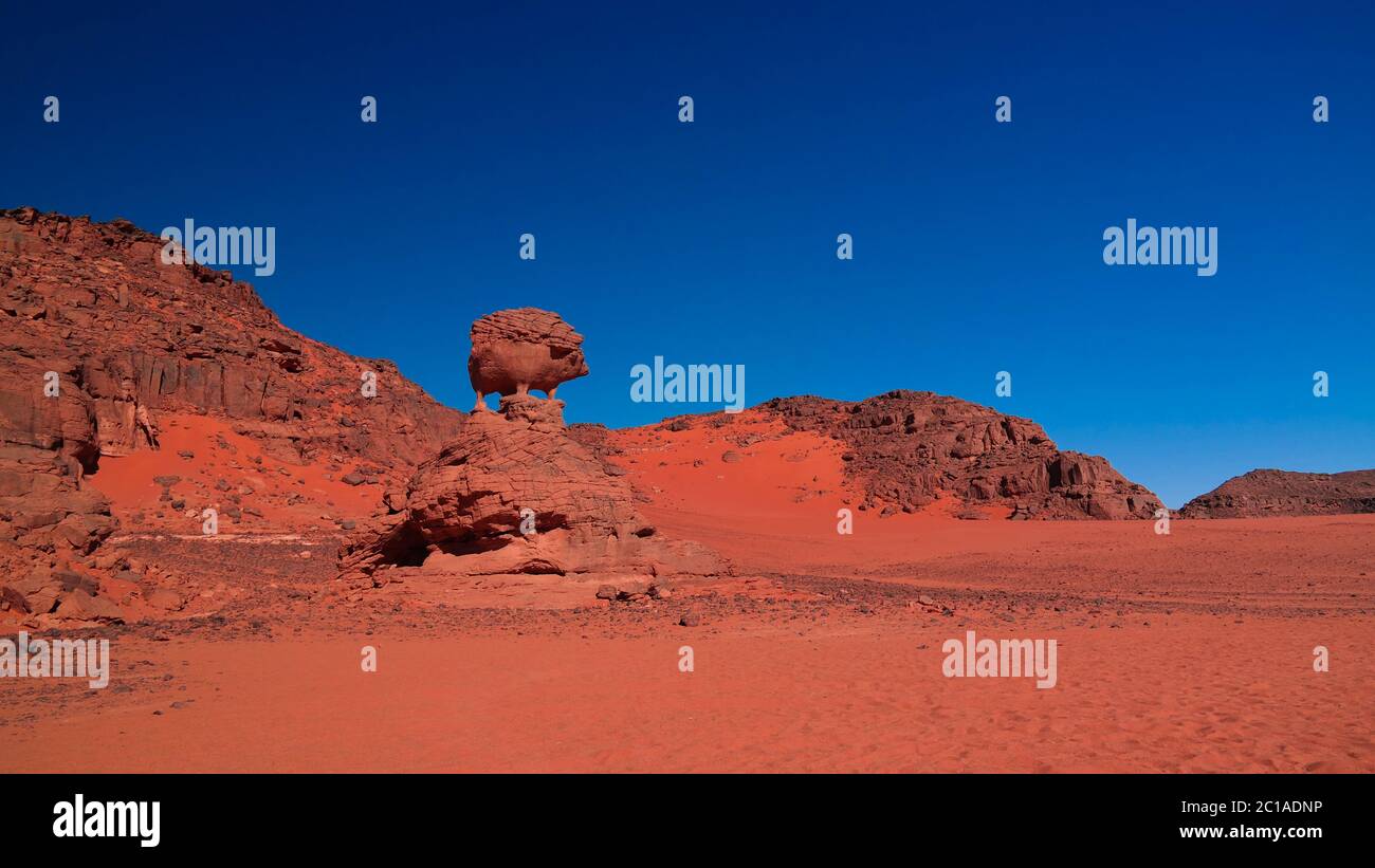 Formazione astratta di roccia aka maiale o hedgehog a Tamezguida, Tassili nAjjer parco nazionale, Algeria Foto Stock