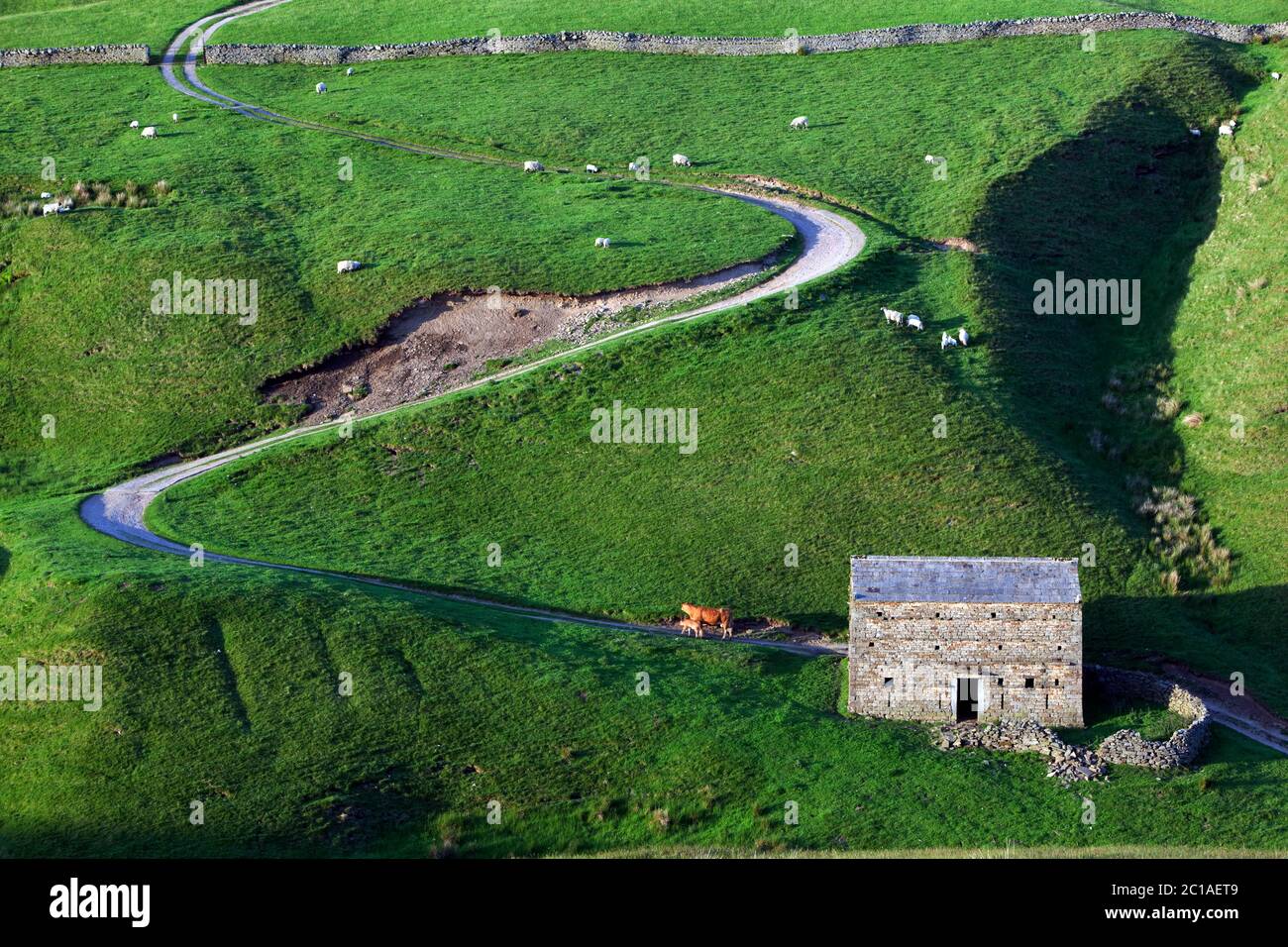 Tortuosa strada e fienile di pietra tradizionale nel Parco Nazionale delle Dales dello Yorkshire, Tan Hill, North Yorkshire, Inghilterra, Regno Unito, Europa Foto Stock