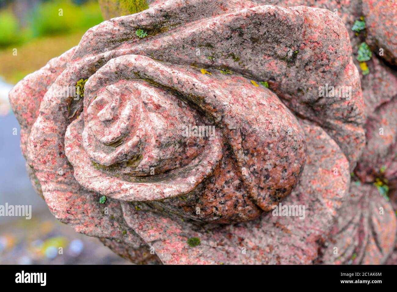 Vecchio rilievo di pietra coperto di muschio di granito rosso rosa germoglio. Parte di lapide nel cimitero pubblico di pietra rosa con muschio verde Foto Stock