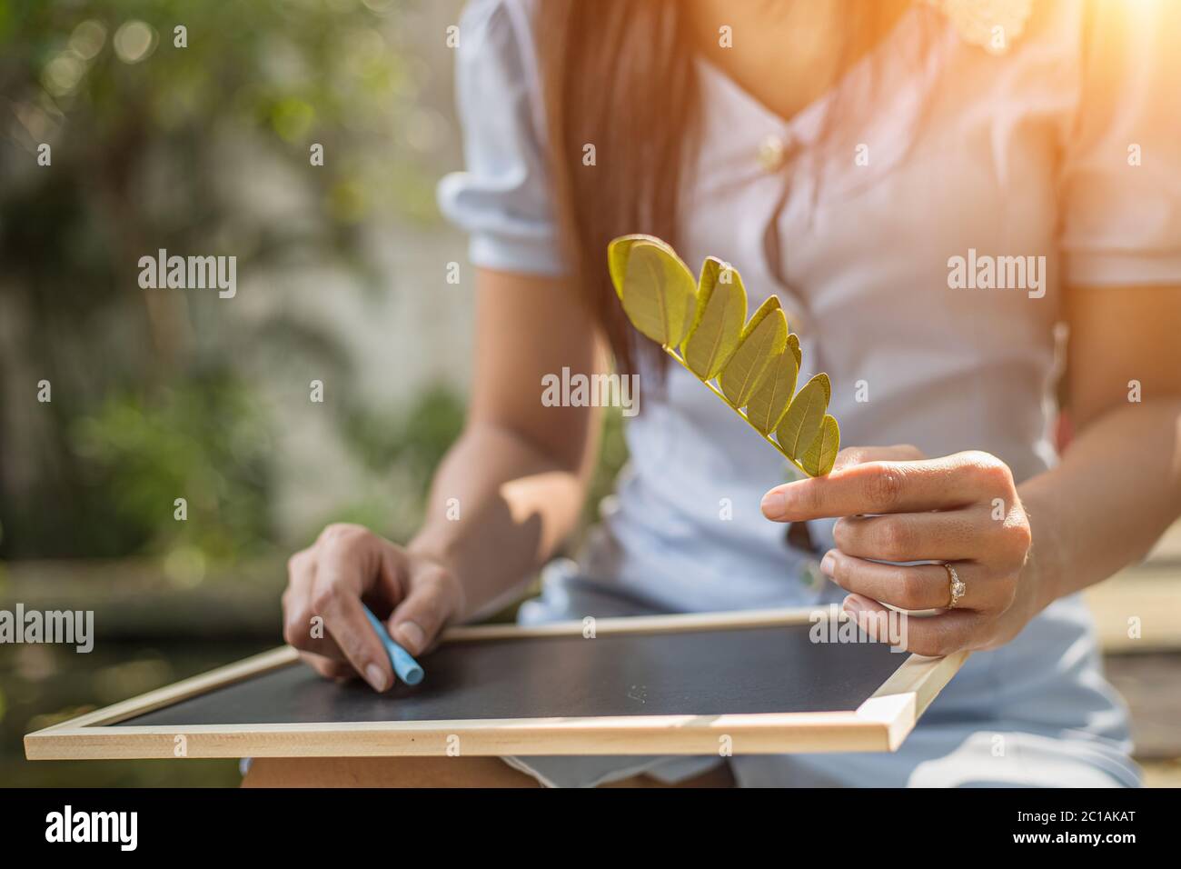 Le mani usano il gesso per disegnare, scrivere la lavagna nei parchi. Istruzione, apprendimento. Foto Stock