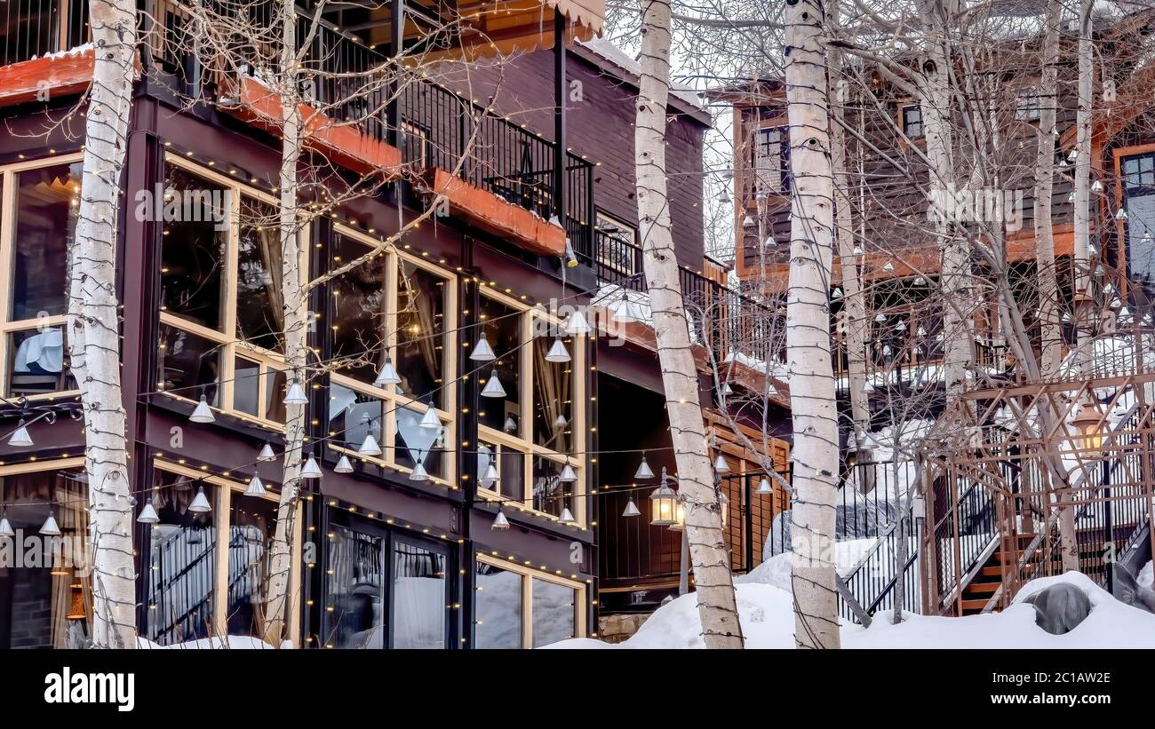 Panorama bellissimo esterno dell'edificio con alberi di aspen senza frondolo su terreno innevato in inverno Foto Stock